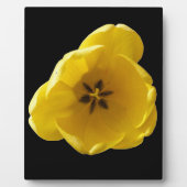 Yellow Tulip Plaque Fotoplaat (Voorkant)