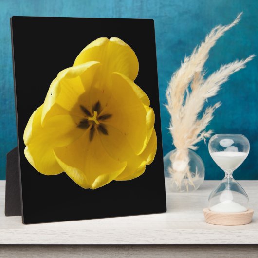 Yellow Tulip Plaque Fotoplaat (Zijkant)