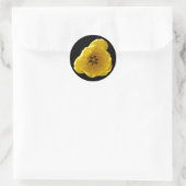 Yellow Tulip Sticker (Tas)