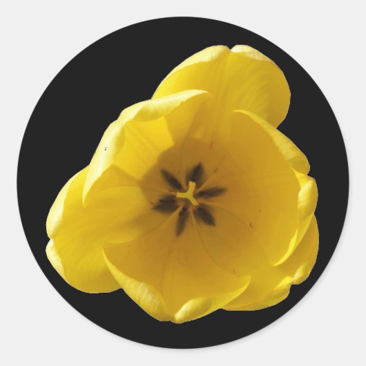 Yellow Tulip Sticker (Voorkant)