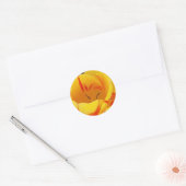 Yellow Tulip Sticker (Envelop)