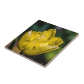 Yellow Tulip Tegeltje (Zijkant)