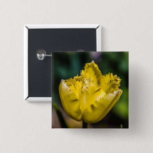 Yellow Tulip Vierkante Button 5,1 Cm (Voorkant /achterkant)