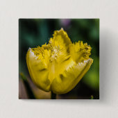 Yellow Tulip Vierkante Button 5,1 Cm (Voorkant)