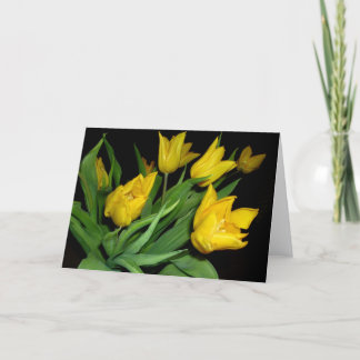 Yellow Tulips Kaart