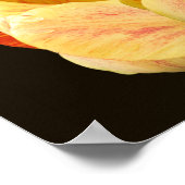 Yellow Tulp Flower Petals Bouquet Poster (Hoek)