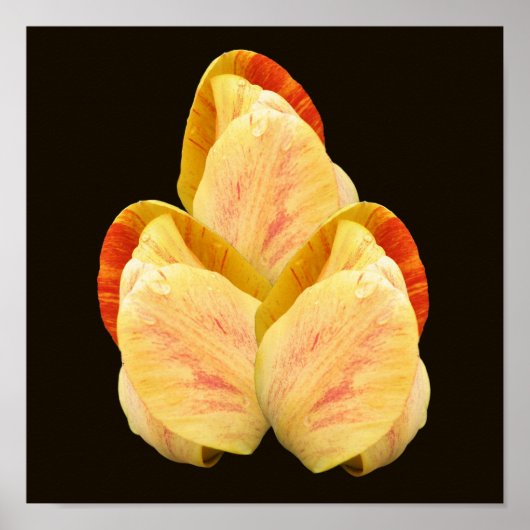 Yellow Tulp Flower Petals Bouquet Poster (Voorkant)