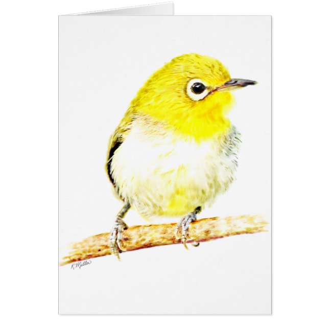 Yellow Viero (Voorkant)