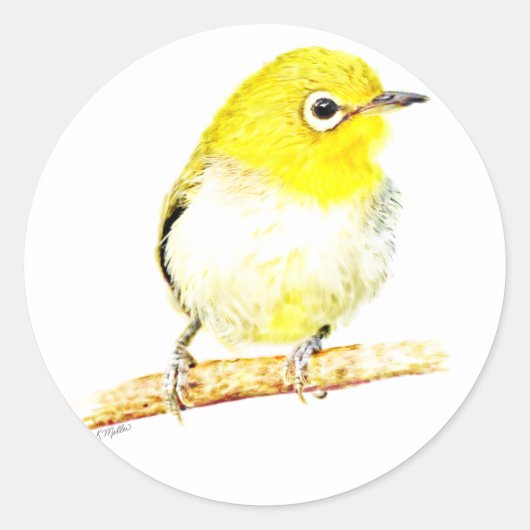 Yellow Viero Ronde Sticker (Voorkant)