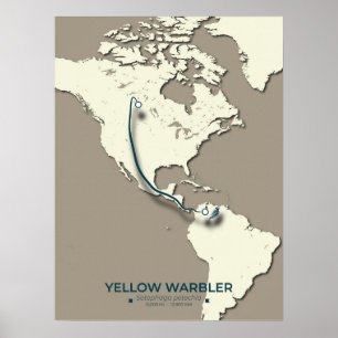 Yellow Warbler Migration Map – Minimalistische Vin Poster