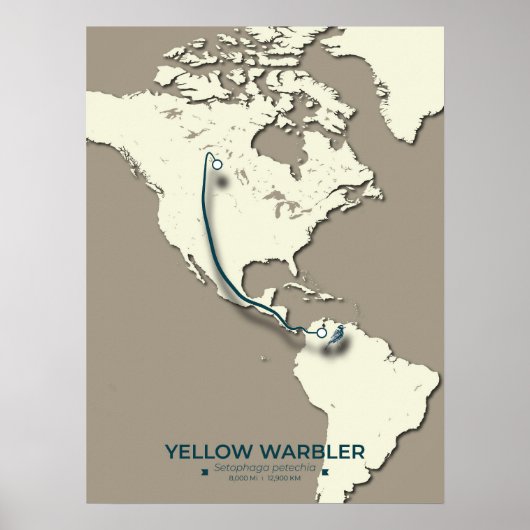 Yellow Warbler Migration Map – Minimalistische Vin Poster (Voorkant)