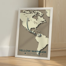 Yellow Warbler Migration Map – Minimalistische Vin