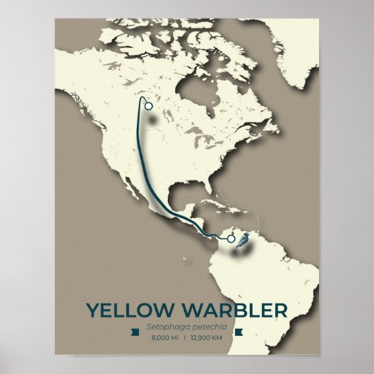 Yellow Warbler Migration Map – Minimalistische Vin Poster (Voorkant)