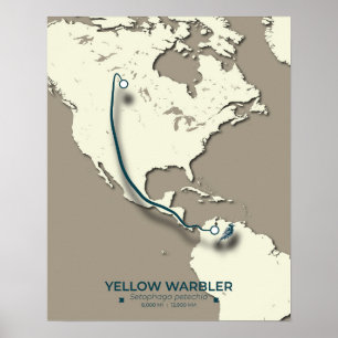Yellow Warbler Migration Map – Minimalistische Vin Poster