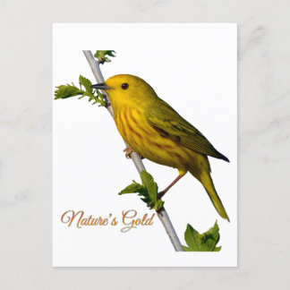 Yellow Warbler "Natuur's Gold" Printed Art Kaart