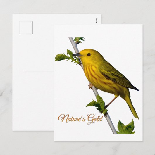 Yellow Warbler "Natuur's Gold" Printed Art Kaart (Voorkant / Achterkant)