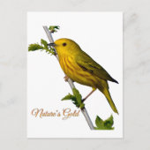 Yellow Warbler "Natuur's Gold" Printed Art Kaart (Voorkant)