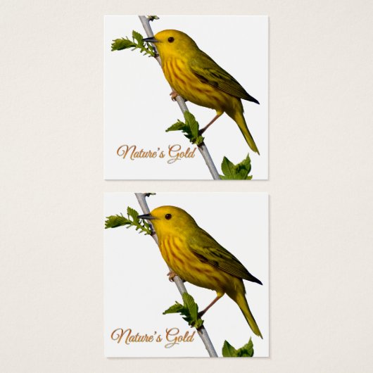 Yellow Warbler "Natuur's Gold" Printed Art Kaart (Voorkant /achterkant)