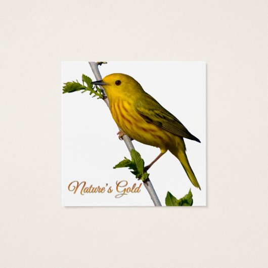 Yellow Warbler "Natuur's Gold" Printed Art Kaart (Achterkant)