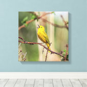 Yellow Warbler Singing Canvas Afdruk (Insitu (Houten vloer))