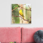 Yellow Warbler Singing Canvas Afdruk (Insitu (Woonkamer))