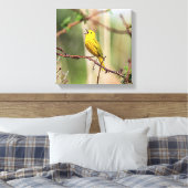 Yellow Warbler Singing Canvas Afdruk (Insitu (Slaapkamer))