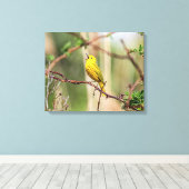 Yellow Warbler Singing Canvas Afdruk (Insitu (Houten vloer))