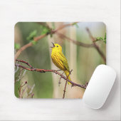 Yellow Warbler Singing Muismat (Met muis)