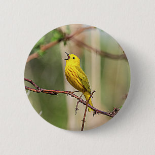 Yellow Warbler Singing Ronde Button 5,7 Cm