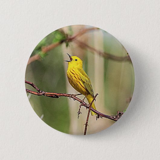 Yellow Warbler Singing Ronde Button 5,7 Cm (Voorkant)