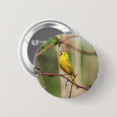 Yellow Warbler Singing Ronde Button 5,7 Cm (Voorkant /achterkant)