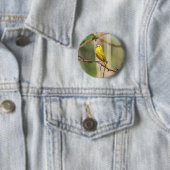 Yellow Warbler Singing Ronde Button 5,7 Cm (In situ)