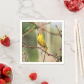 Yellow Warbler Singing Servet (Insitu)