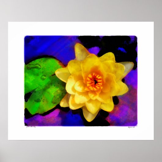 Yellow Water Lily, druk Poster (Voorkant)