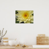 Yellow Water Lily Poster (Keuken)