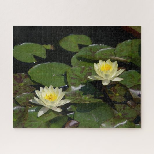 Yellow Waterlilies Jigzaag Puzzle Legpuzzel (Horizontaal)