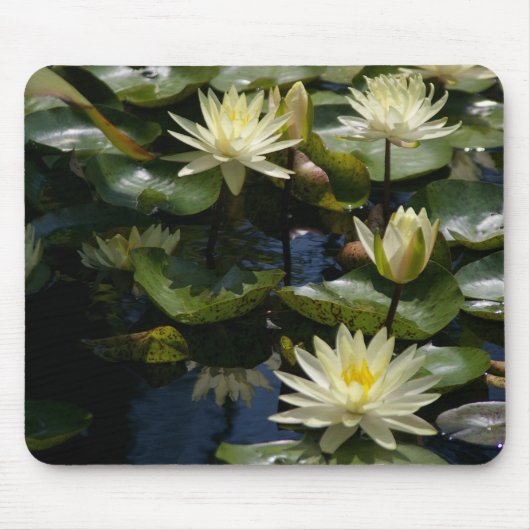 Yellow Waterlily Mousepad Muismat (Voorkant)
