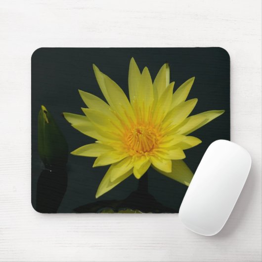 Yellow Waterlily mousepad Muismat (Met muis)
