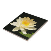 Yellow Waterlily Tile Tegeltje (Zijkant)