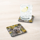 Yellow Wattle en Koala Beer, Bier Onderzetter (Rechterzijde)