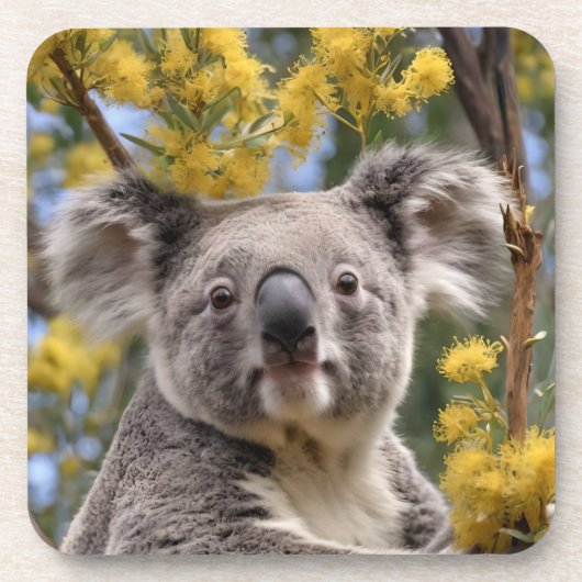 Yellow Wattle en Koala Beer, Bier Onderzetter (Voorkant)