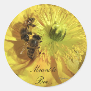 Yellow Wedding Flowers Invitation Seals Ronde Sticker