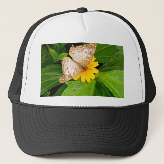 yellow white butterfly moth trucker pet (Voorkant)