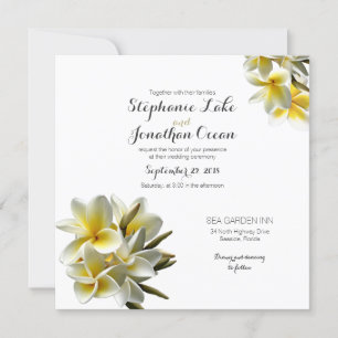 Yellow White Plumeria Hawaiian Wedding Kaart