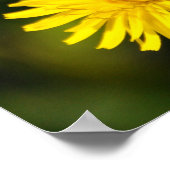 Yellow Wild Flower Photo Poster (Hoek)