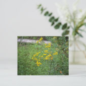 Yellow Wildflowers Briefkaart (Staand voorkant)