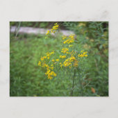 Yellow Wildflowers Briefkaart (Voorkant)