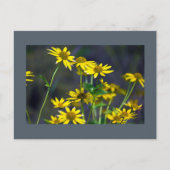 Yellow Wildflowers Briefkaart (Voorkant)