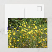 Yellow Wildflowers DIY Briefkaart (Voorkant / Achterkant)