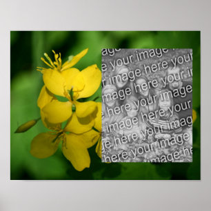 Yellow Wildflowers Lijst Uw foto toevoegen Poster
